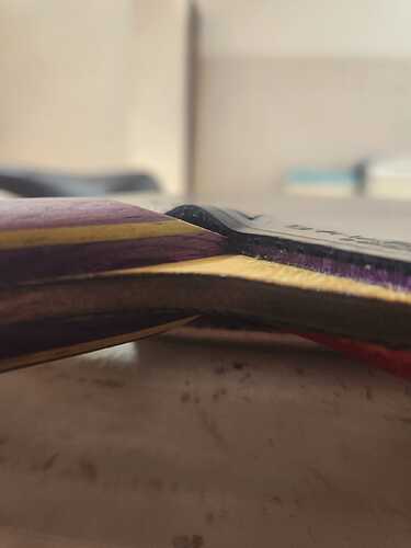 WhatsApp Image 2026-01-25 at 00.00.07